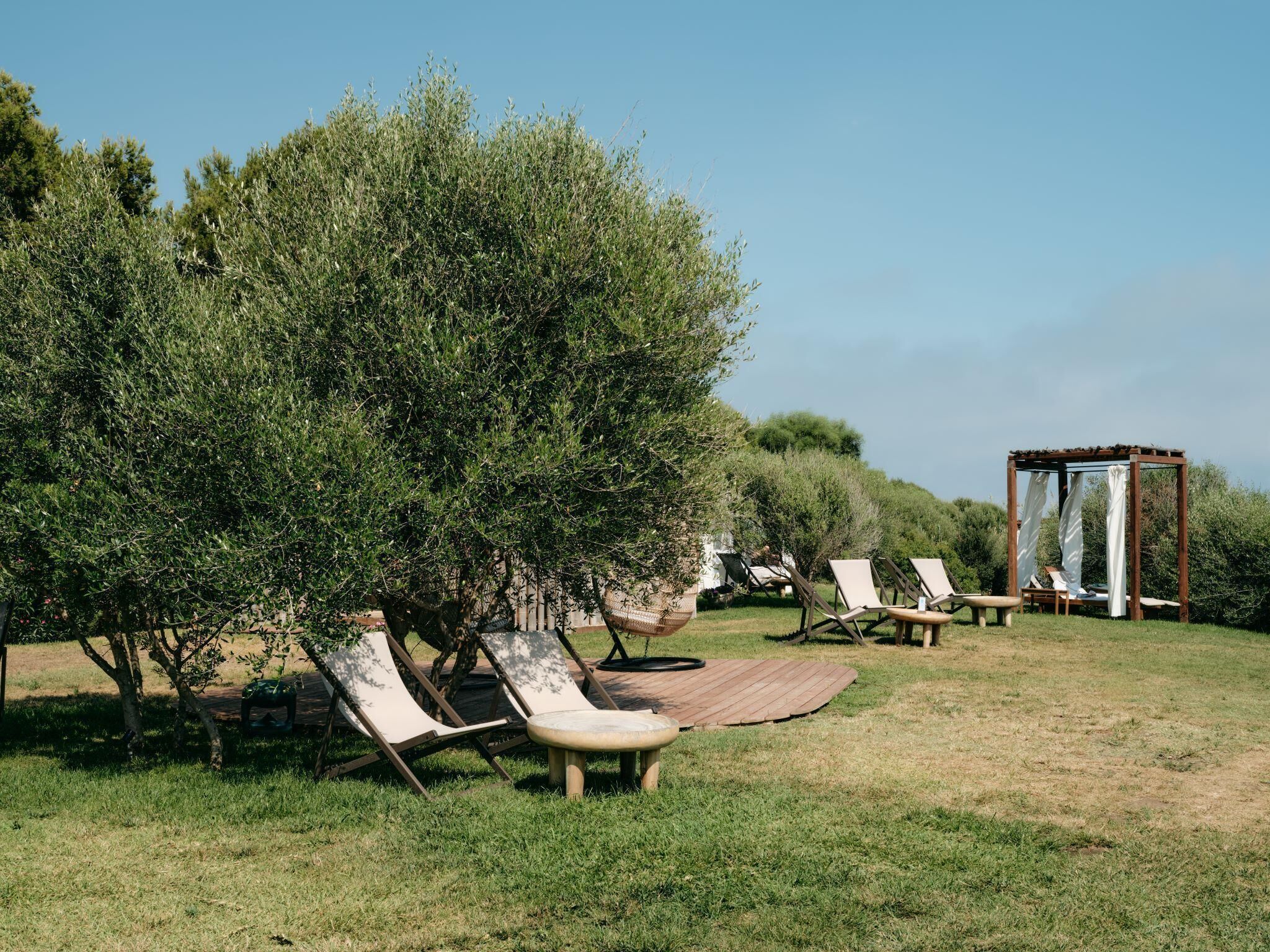 A garden with outdoor seating, including lounge chairs and a wooden table, surrounded by olive trees and a pergola.
