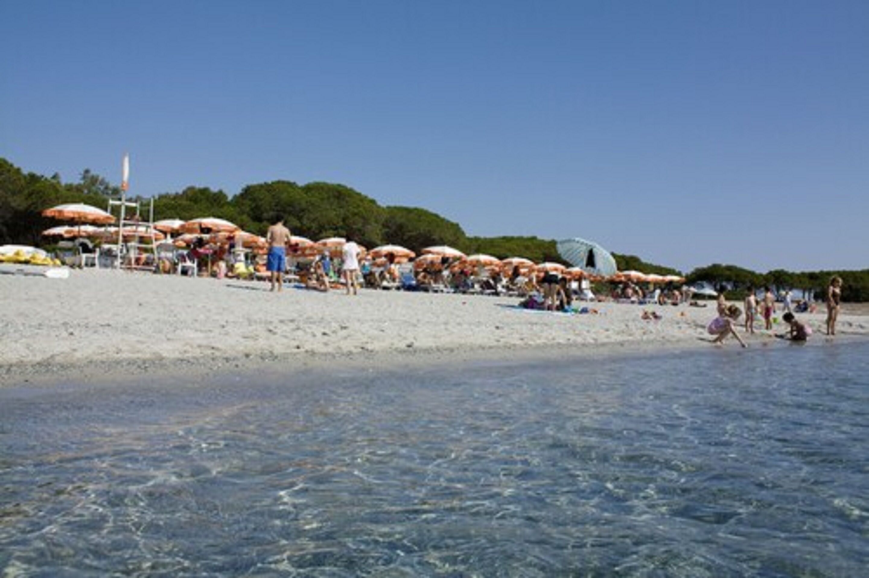 Private beach nearby, sun-loungers, beach umbrellas, windsurfing