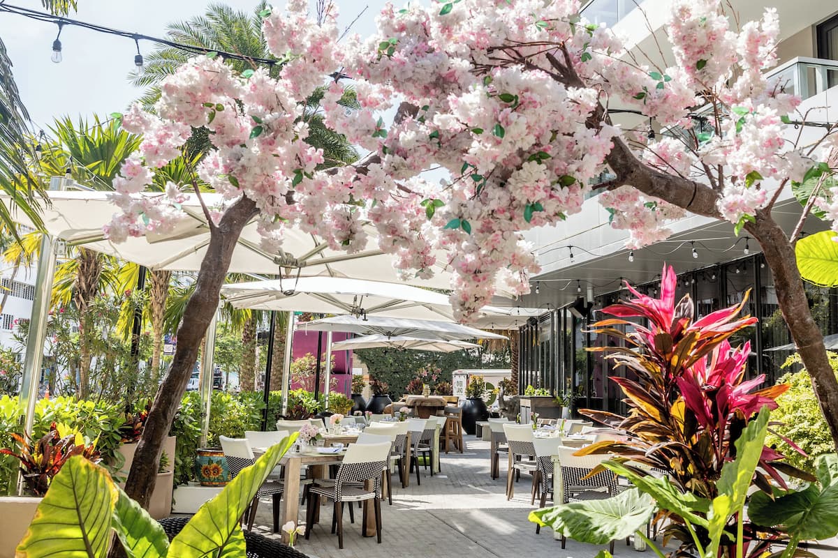 spanish cuisine, al fresco dining