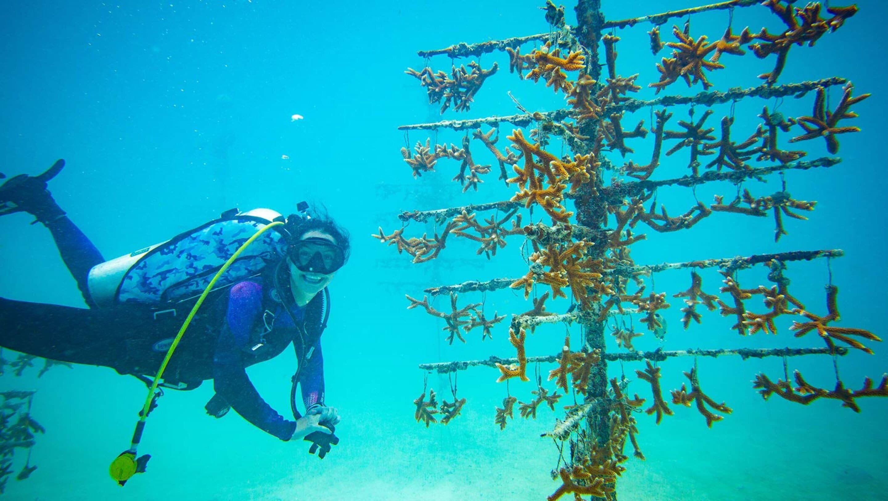 beach nearby, beach umbrellas, beach towels