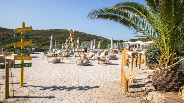 A beach with sun loungers, a palm tree, and a signpost with multiple languages.