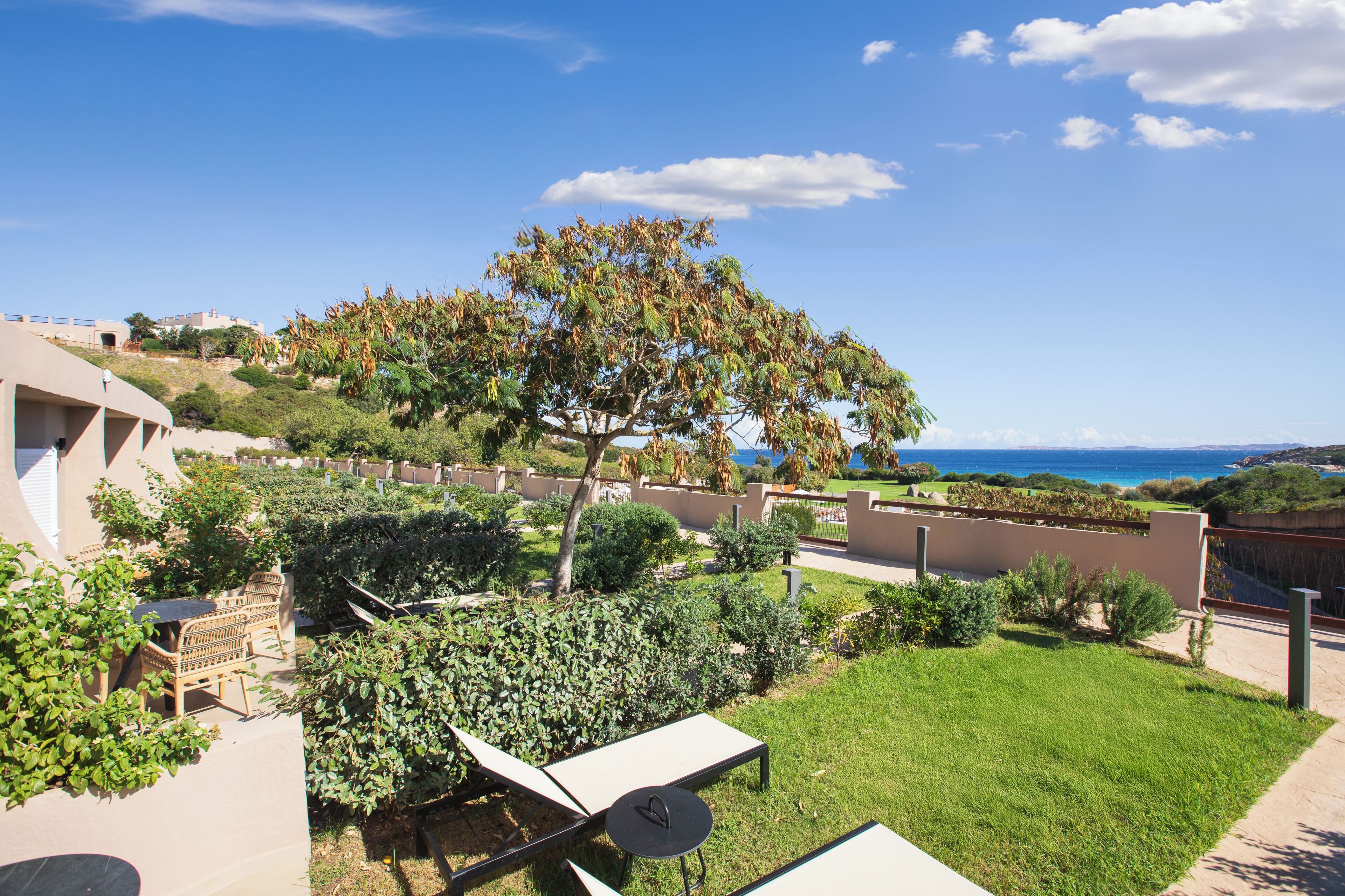 Un jardin avec un arbre, un banc et une vue sur la mer.