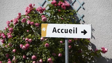A sign with the word "Accueil" and an arrow pointing to the right, placed in front of a bush with pink flowers.