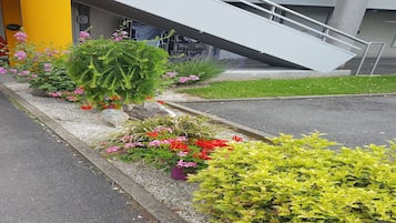 Terras