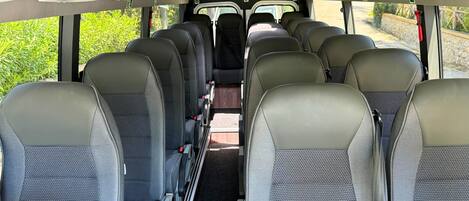 Interior de autobús con hileras de asientos, compartimentos superiores para equipaje y ventanas que ofrecen vistas al follaje exterior.