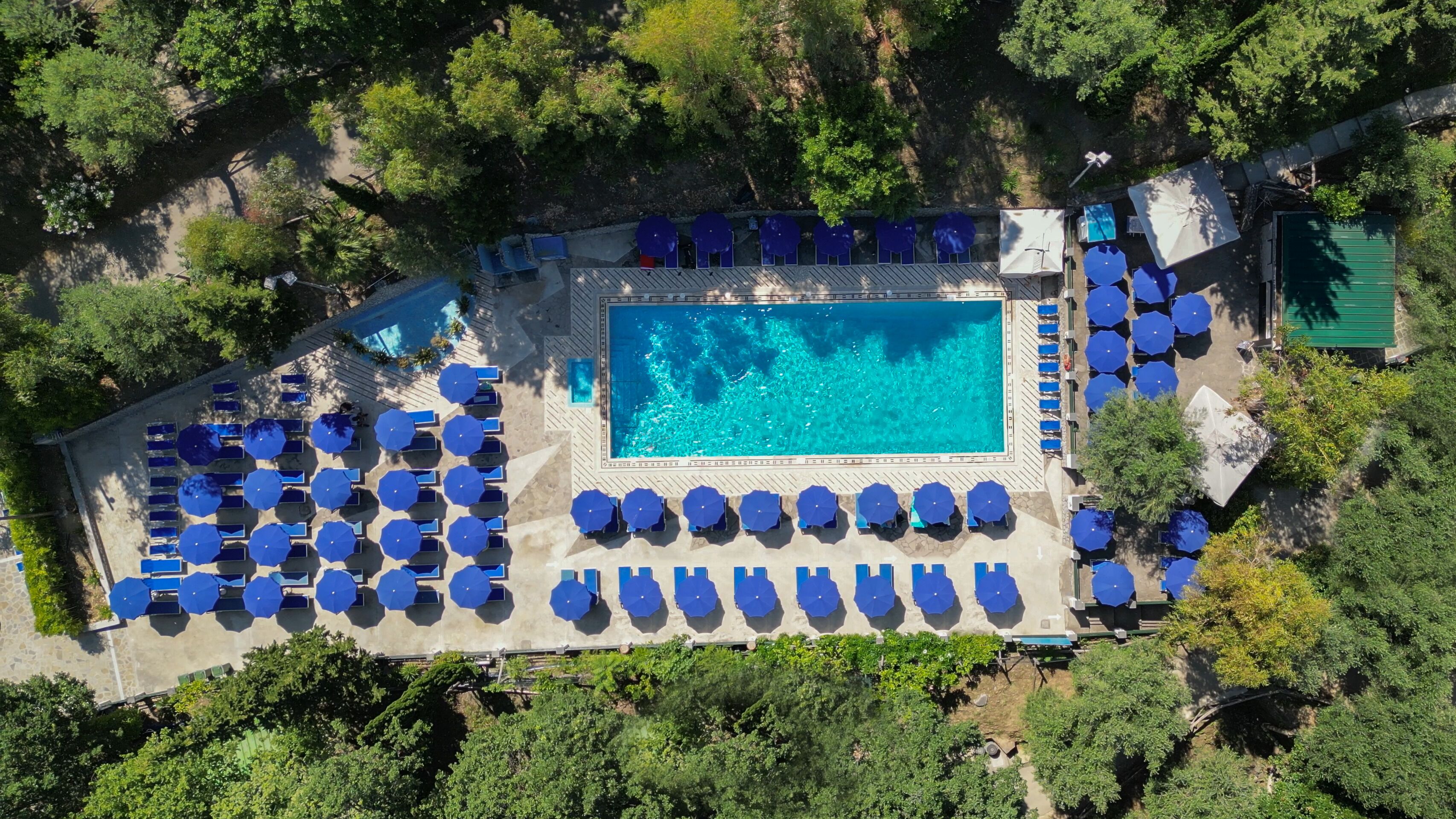 An aerial view of a resort with a central swimming pool, surrounded by rows of sun loungers and umbrellas, with dense greenery in the background.