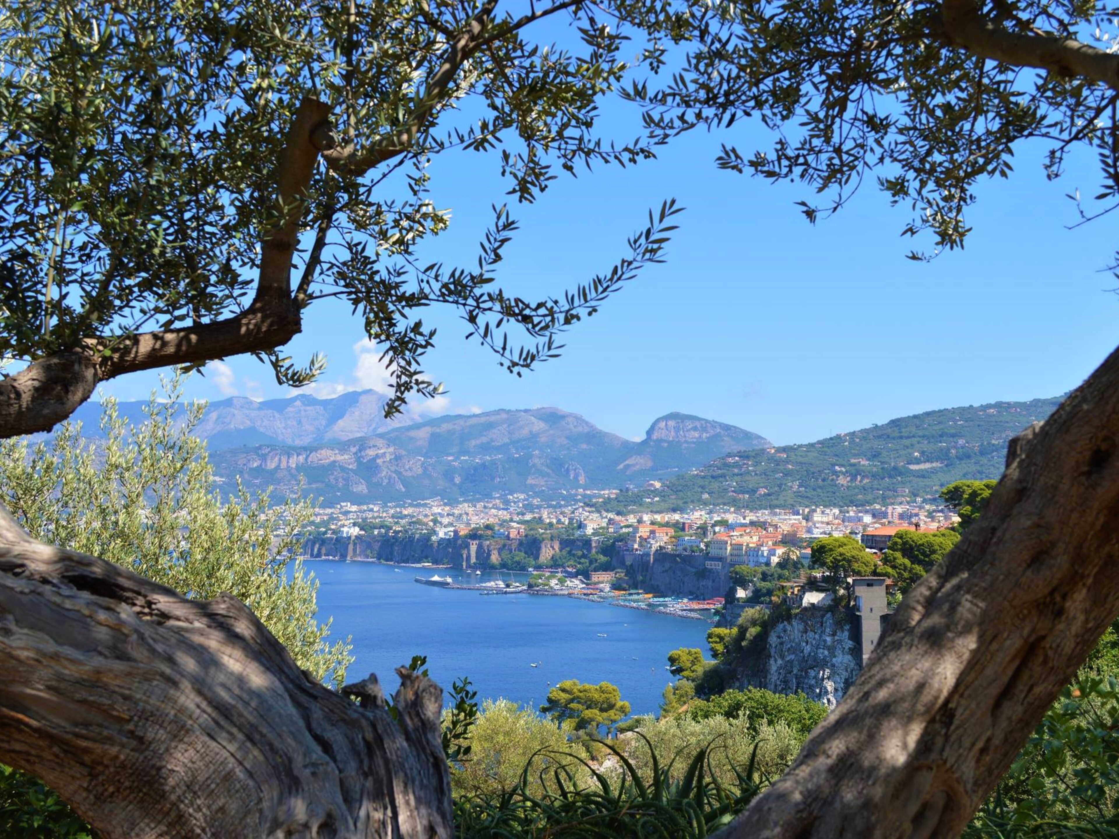 A coastal town with a view of the sea and mountains in the background.