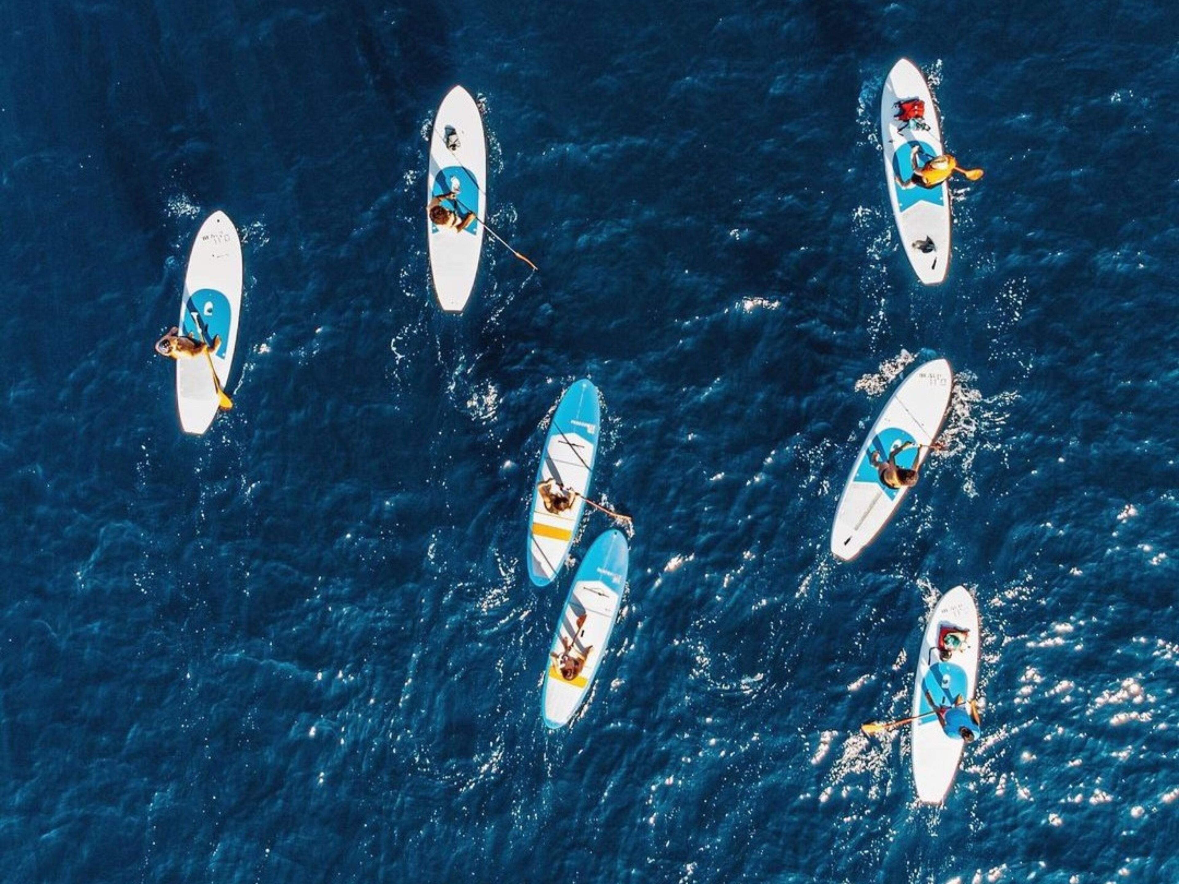 Un gruppo di kayak su una distesa d'acqua.