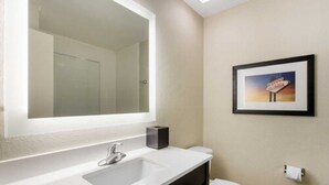 A bathroom with a large mirror, a sink, and a framed picture on the wall. - Gallus Stadium Park Inn, an Ascend Collection Hotel (Columbia)