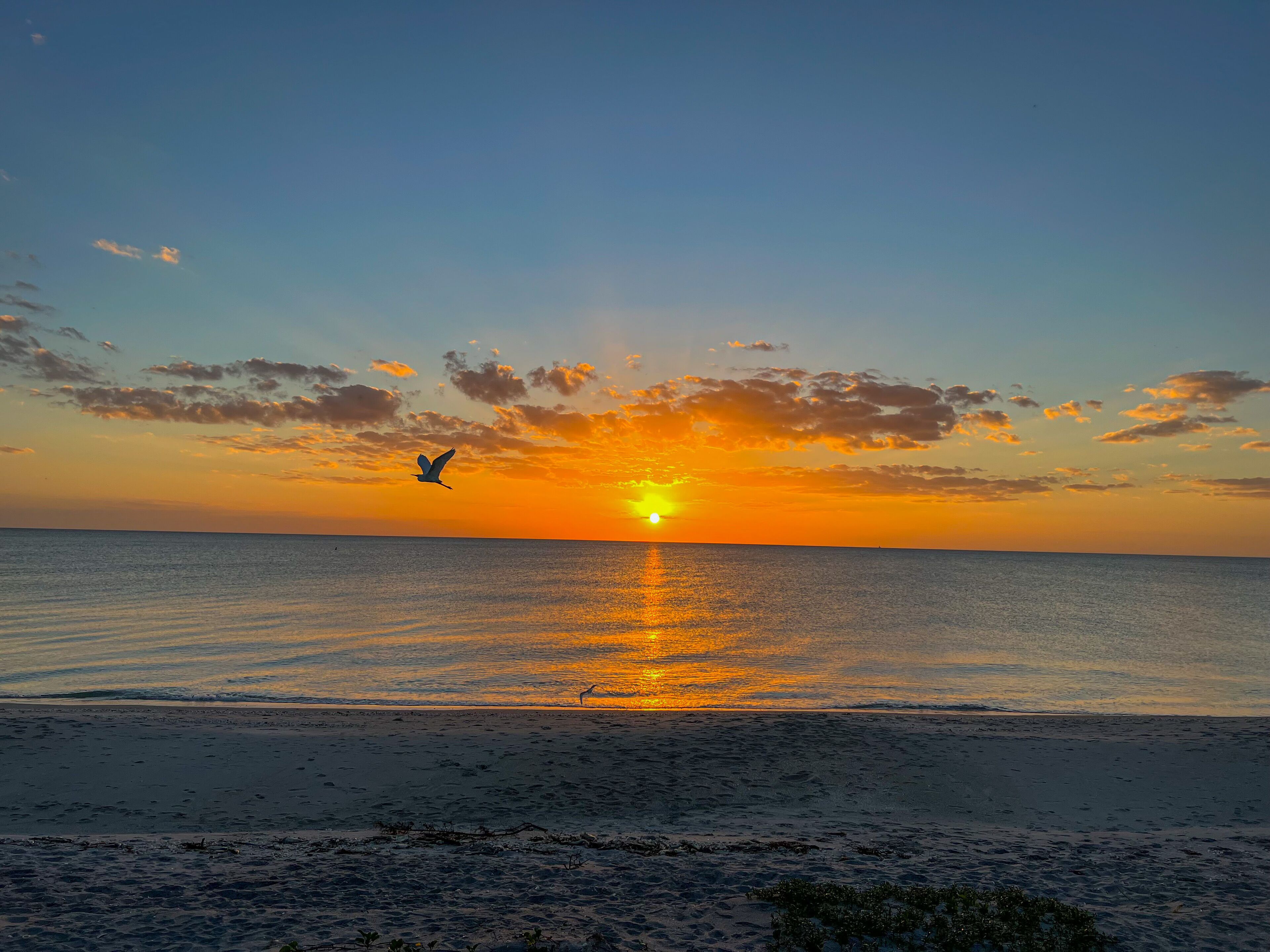 Une plage au coucher du soleil, avec un oiseau qui vole au-dessus de l’eau.