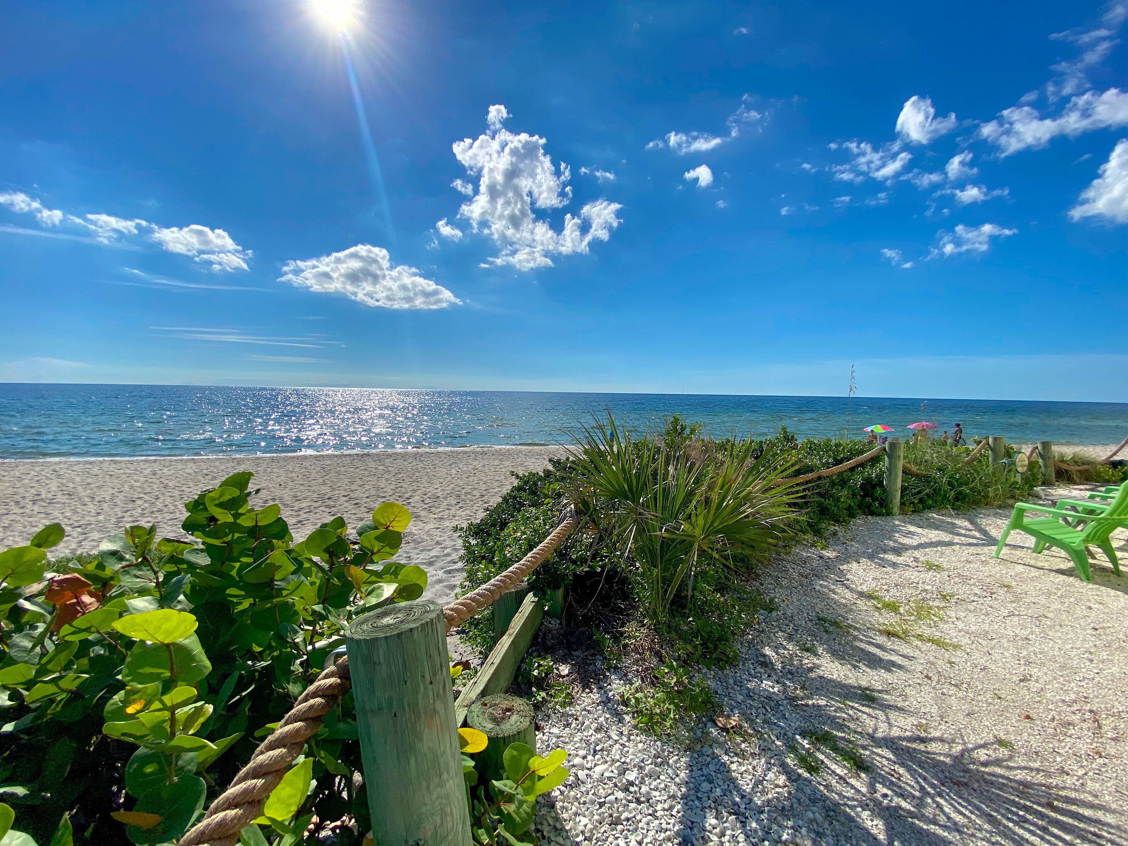 A beach with a wooden fence, gravel path, and green plants.