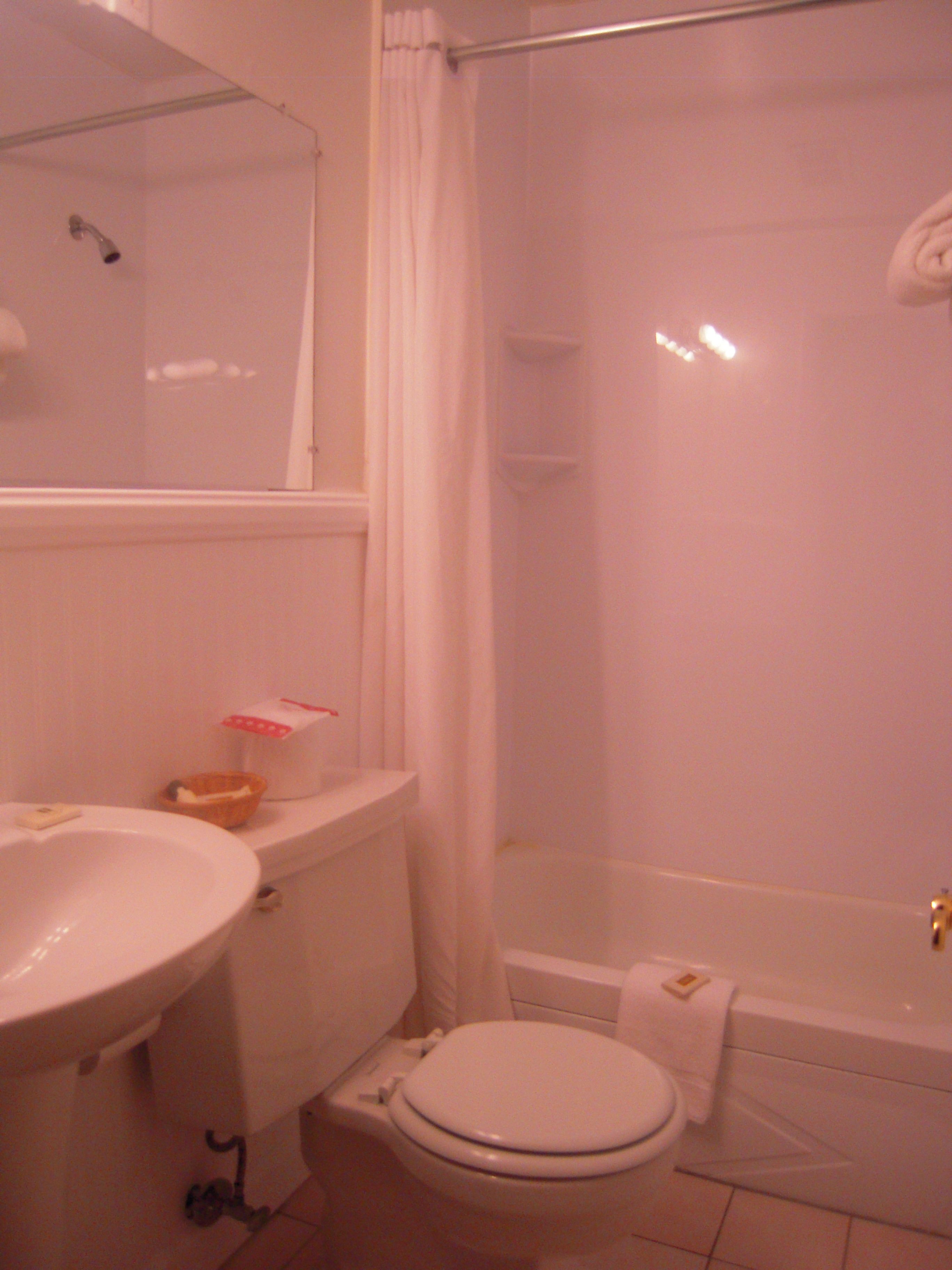 Une salle de bain équipée de toilettes, d’un lavabo et d’une douche.