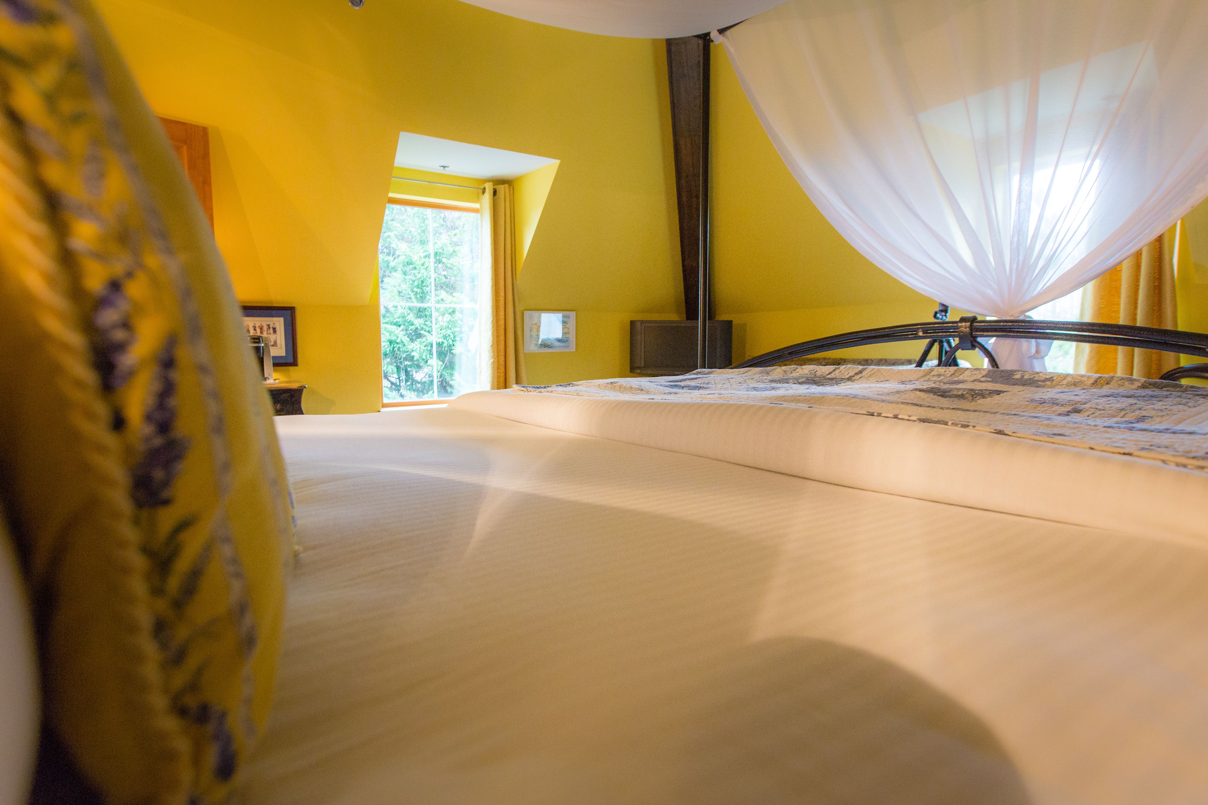 superior double room, 1 king bed with sofa bed | view from room