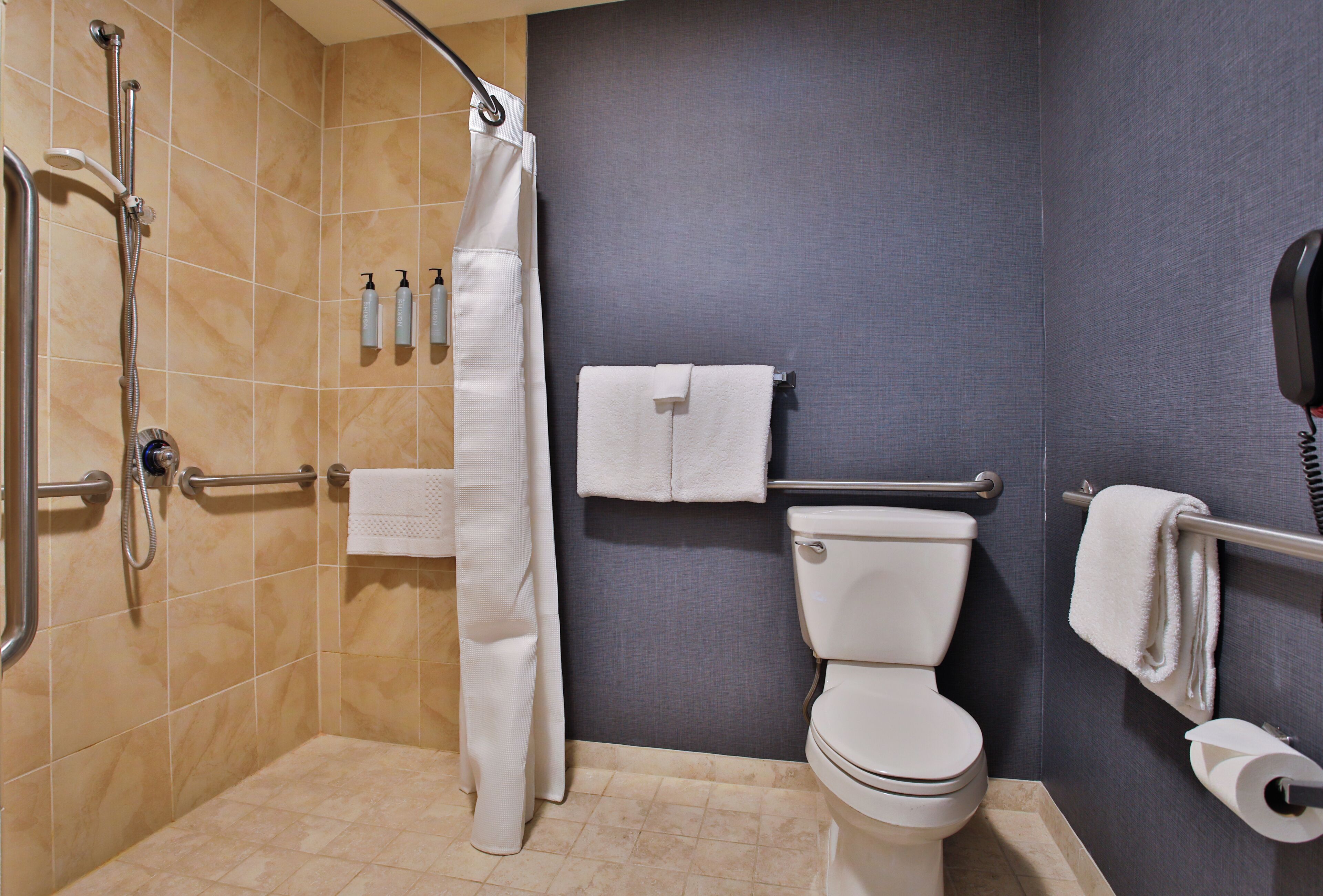 A bathroom with a shower, toilet, and handrails.