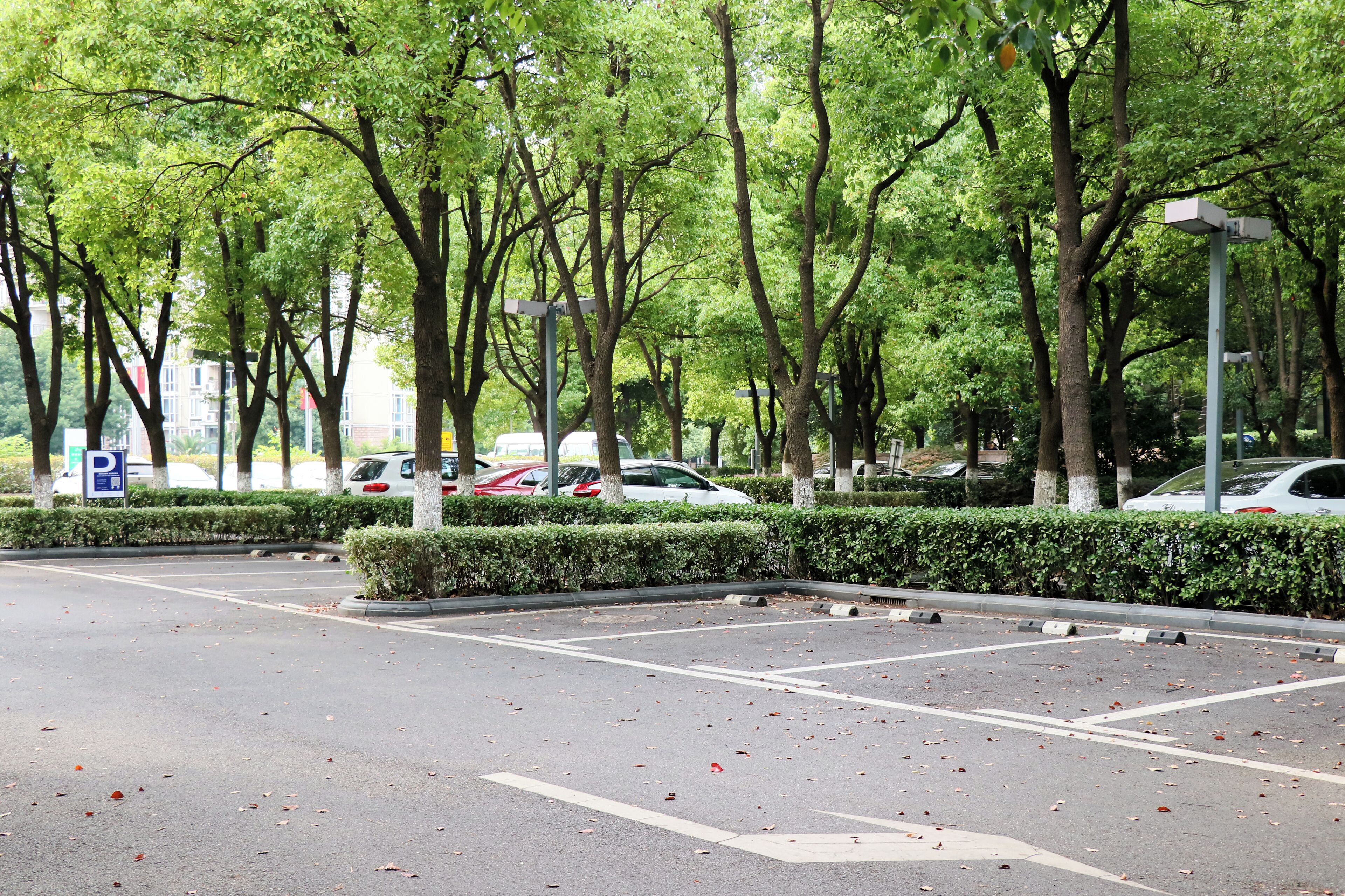 self-parking (surcharge) 50 per night