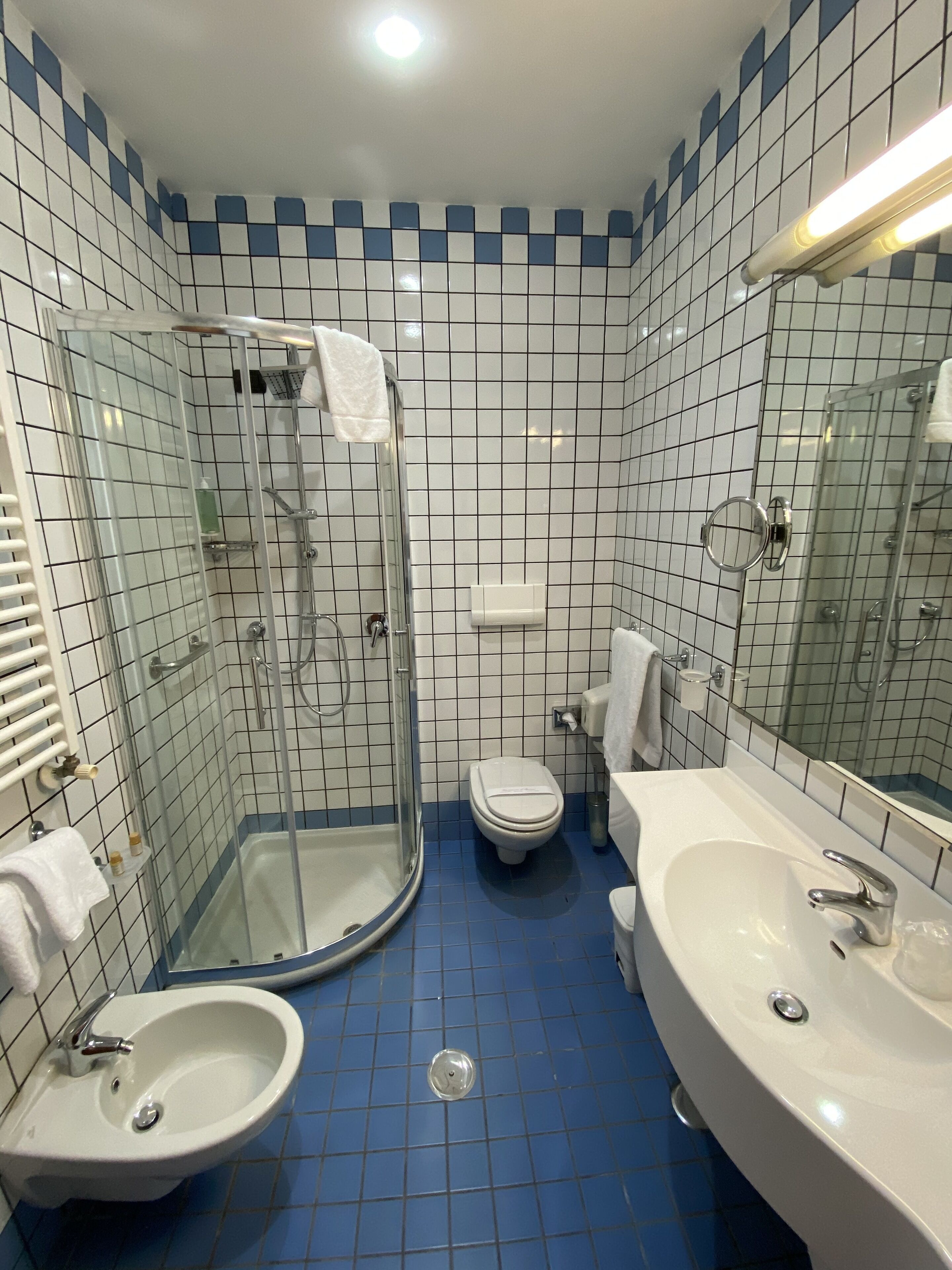 shower, free toiletries, hair dryer, bidet