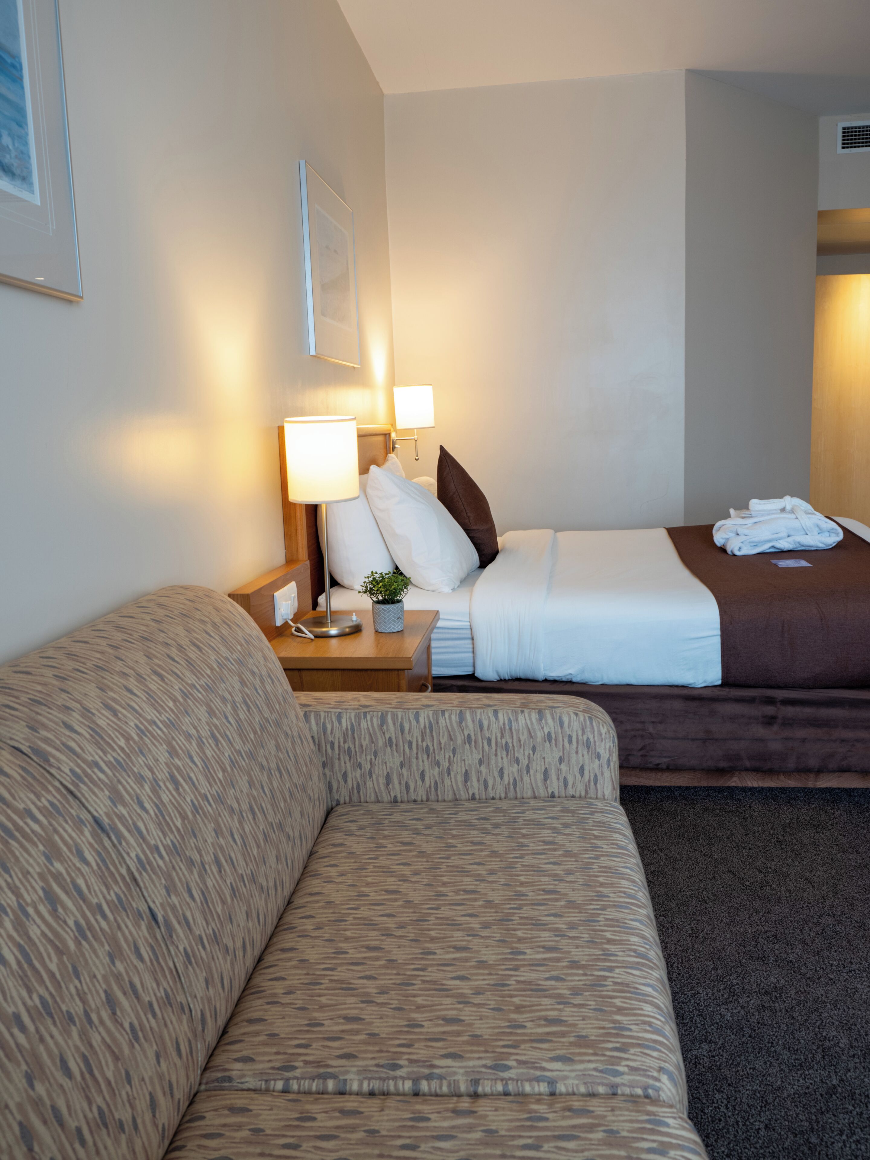 Habitación de hotel con sofá, cama, mesita de noche con lámpara y una pequeña planta en maceta.