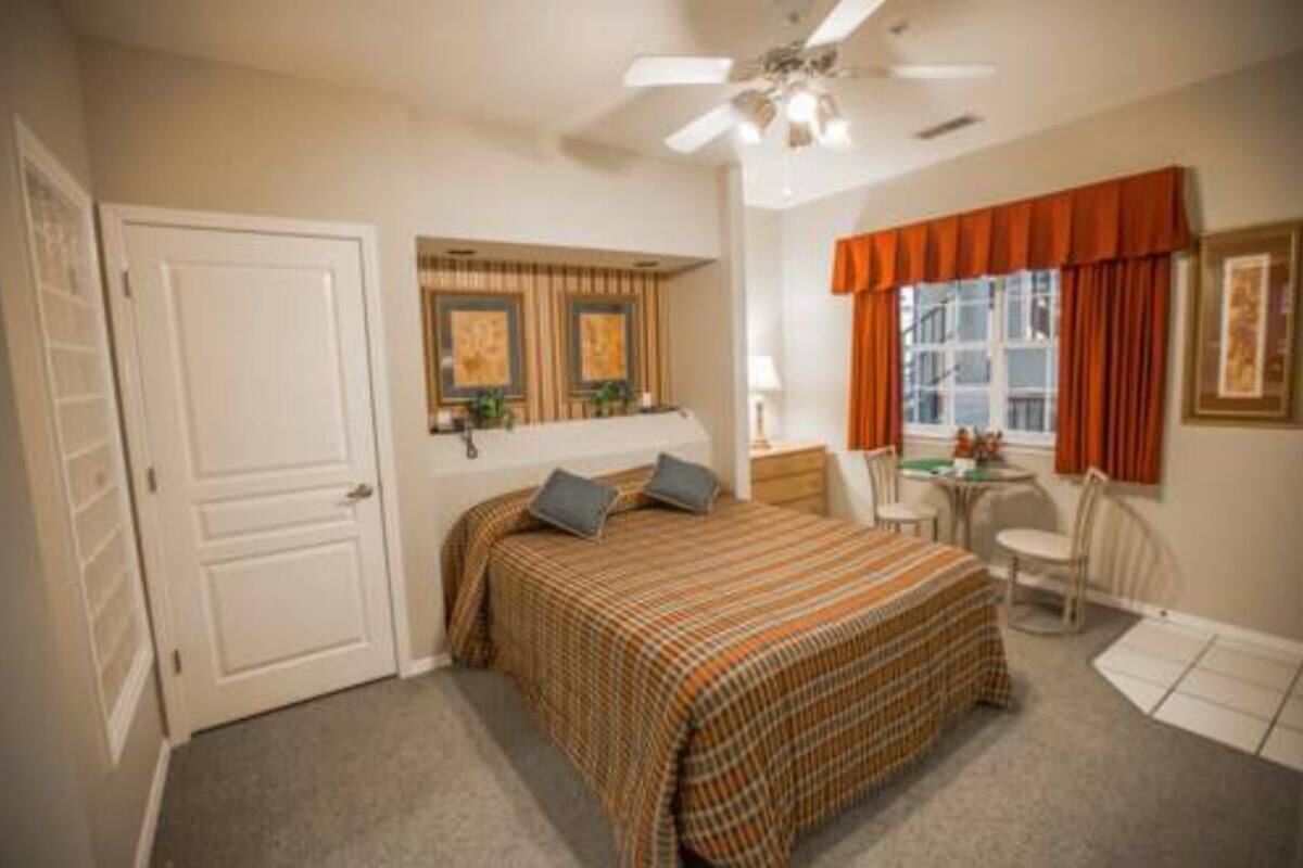 Studio Kitchenette | Blackout drapes, iron/ironing board, WiFi (free), bed sheets