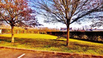 A grassy park area with a picnic table and a tree.
