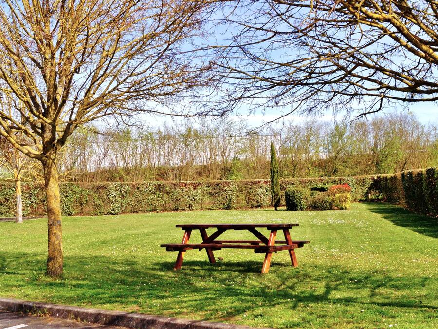 Una mesa de picnic en un parque con césped, con un árbol y setos al fondo.