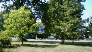 A residential area with two large trees in front of a house. - Four Creeks Bed & Breakfast (Girard)