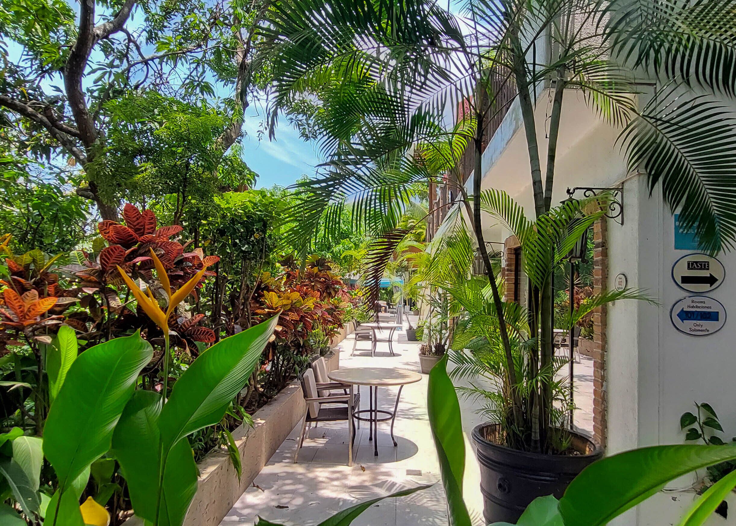 Foto - Casa Cupula LGBT Luxury Resort