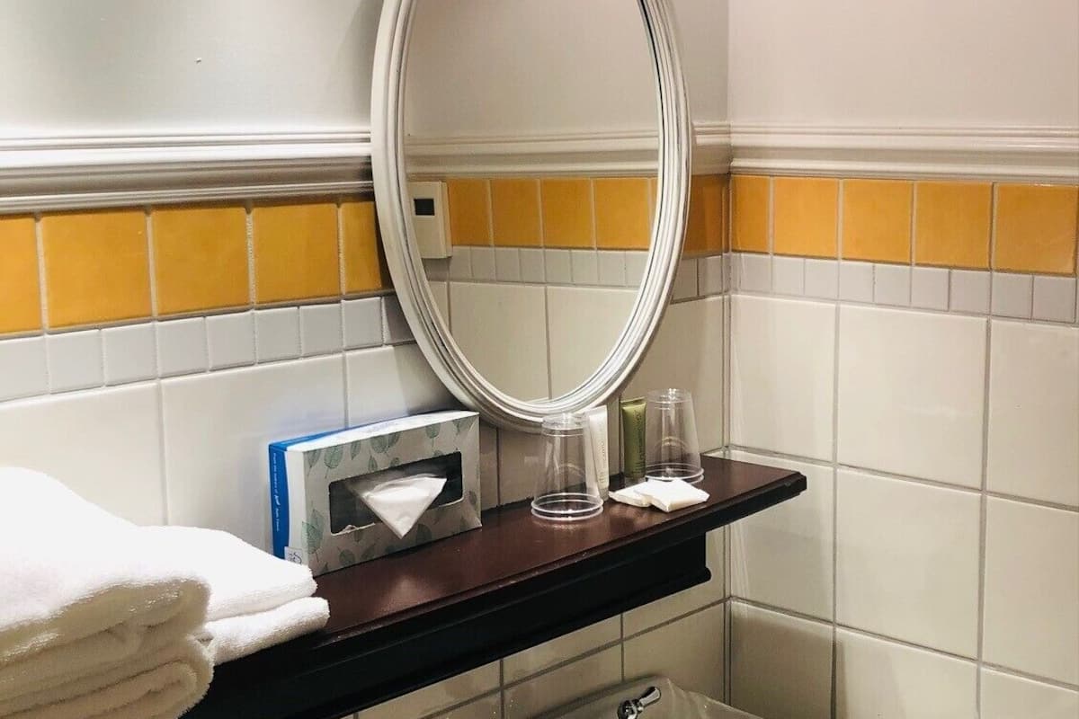 standard room, 1 king bed (3rd floor) | bathroom | free toiletries, hair dryer, towels