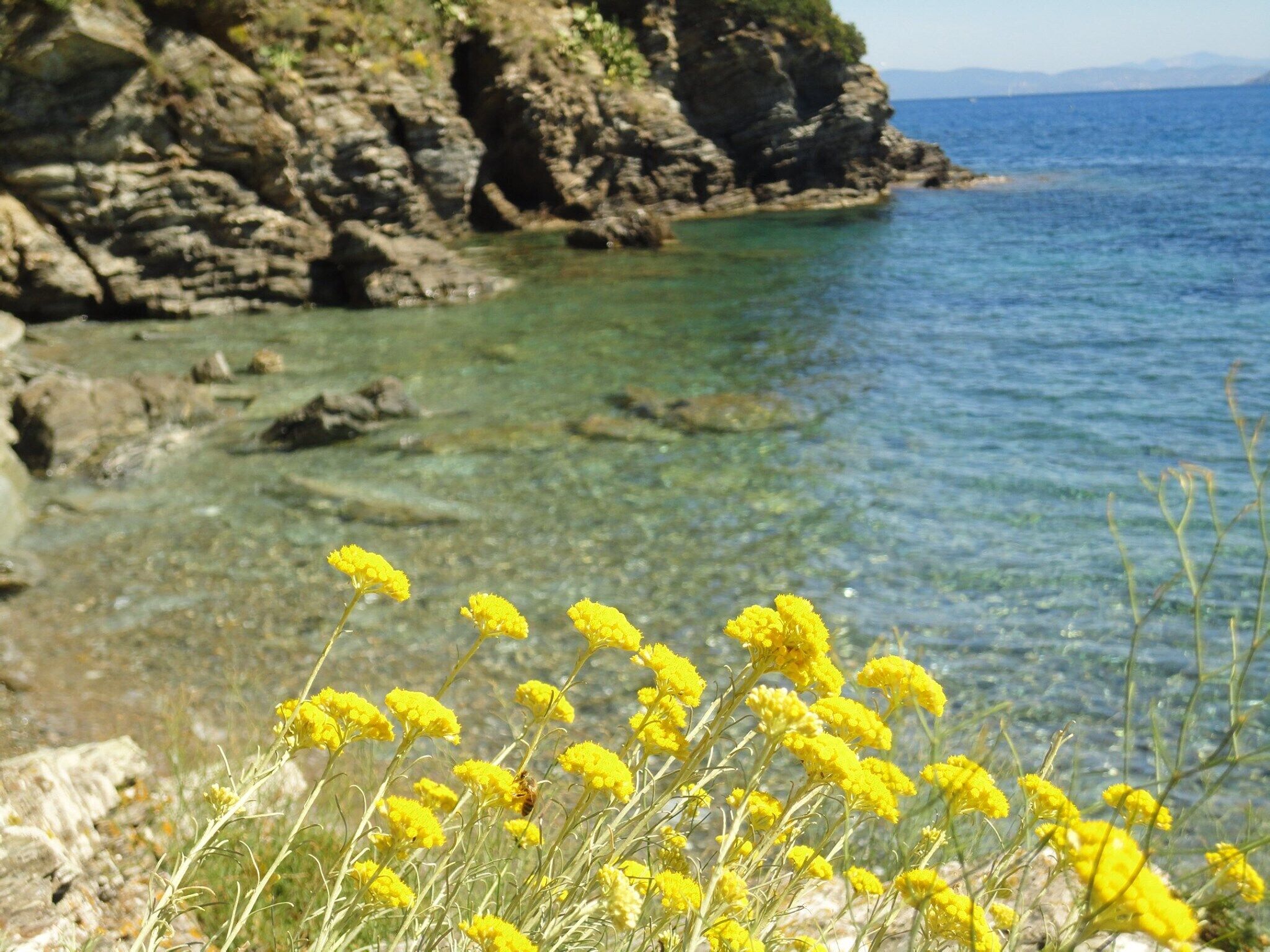 Foto - Hotel Rio Sul Mare