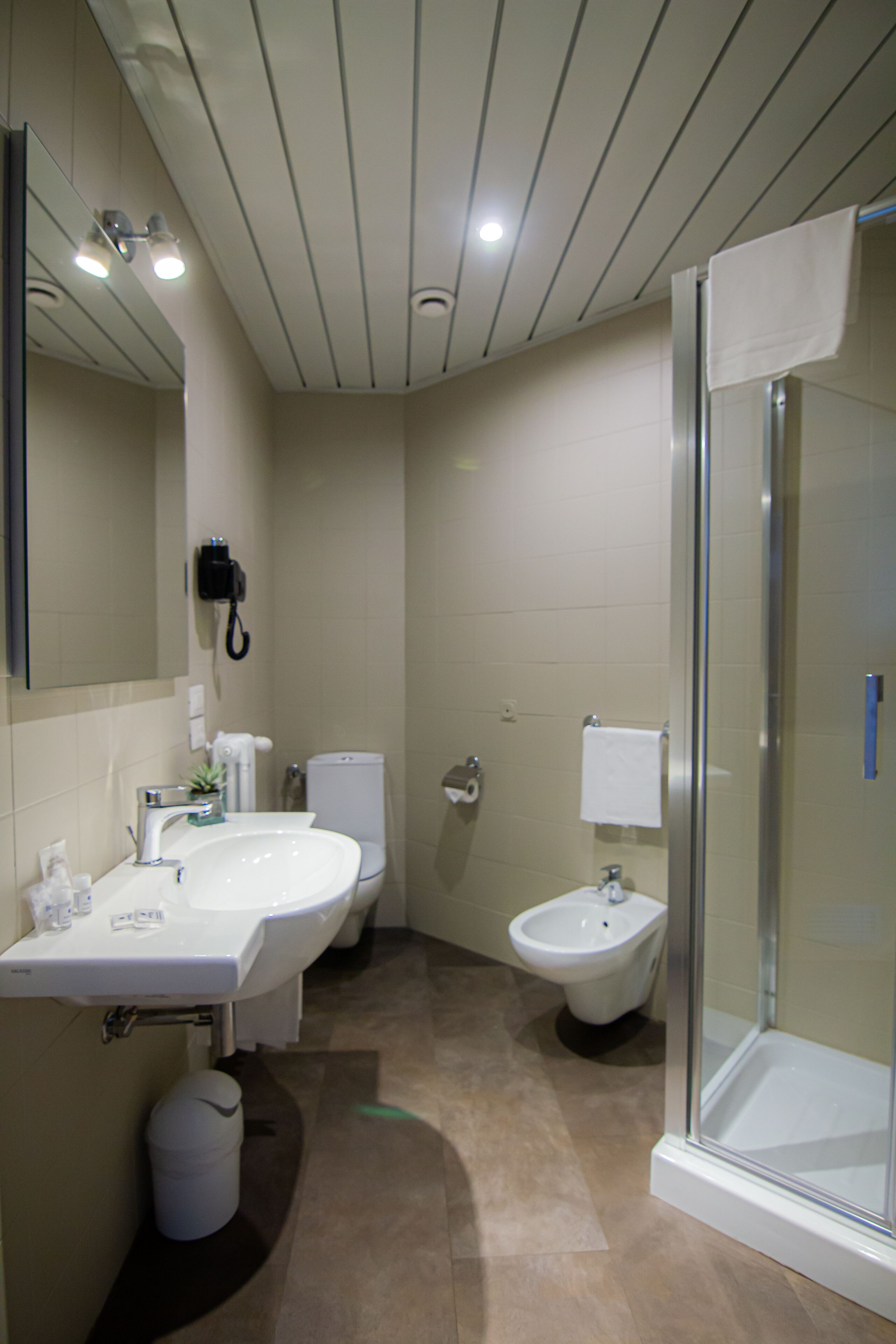 A modern bathroom with a large sink, bidet, and glass-enclosed shower.