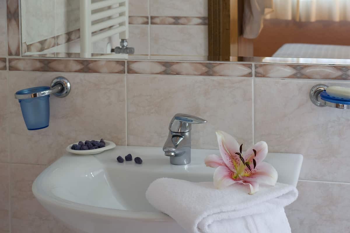 Standard Single Room | Bathroom