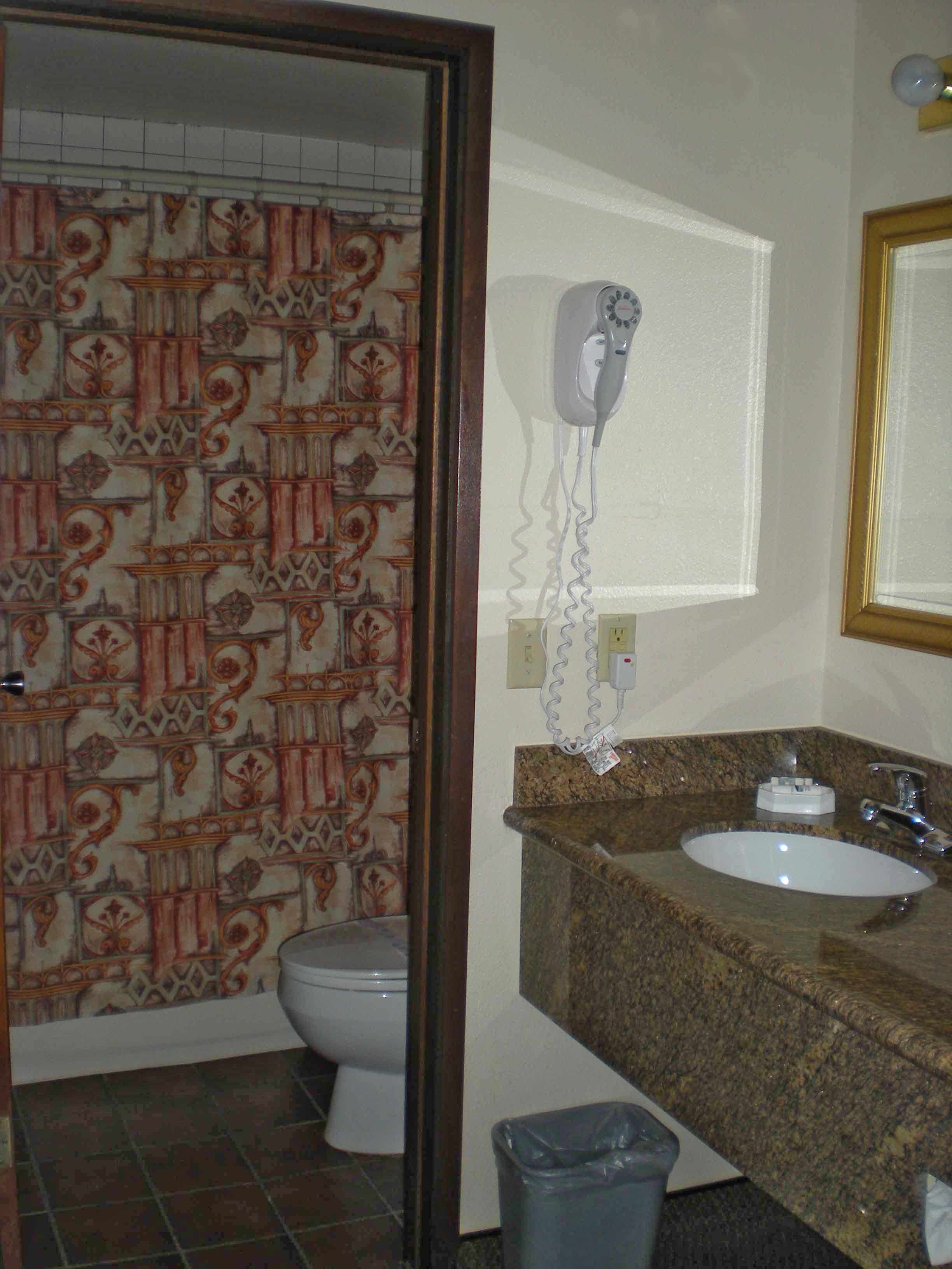 Un baño con cortina de ducha estampada, inodoro, secador de pelo montado en la pared, lavabo con espejo y cubo de basura.