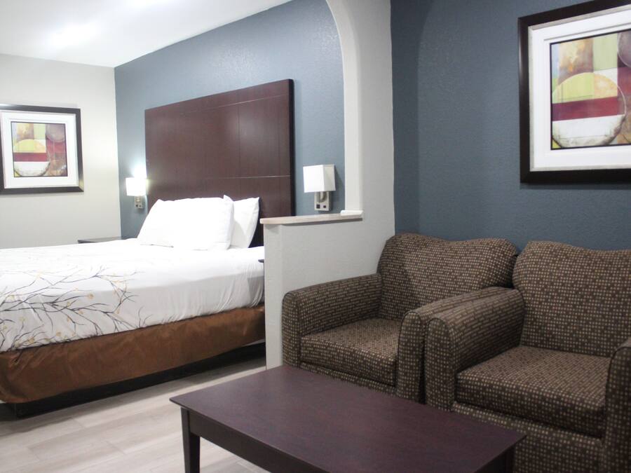 Executive Room, 1 King Bed, Non Smoking | Premium bedding, desk, iron/ironing board, free WiFi