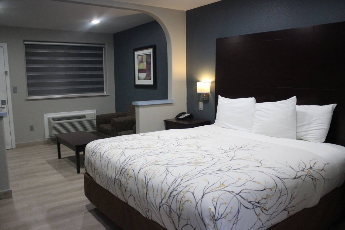 A hotel room with a large bed, a bedside table, a chair, a desk, a lamp, and a picture on the wall.