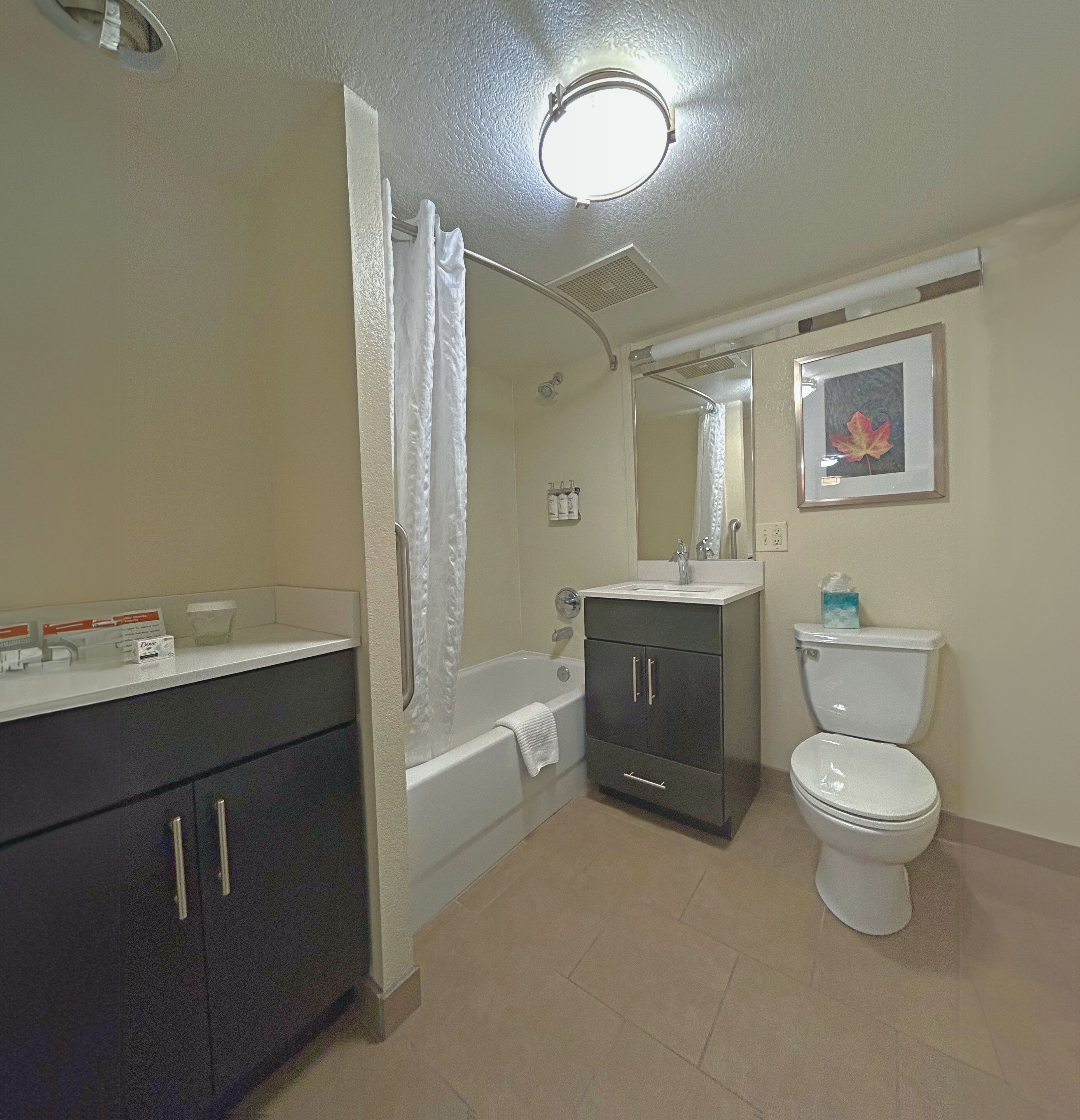 free toiletries, hair dryer, towels