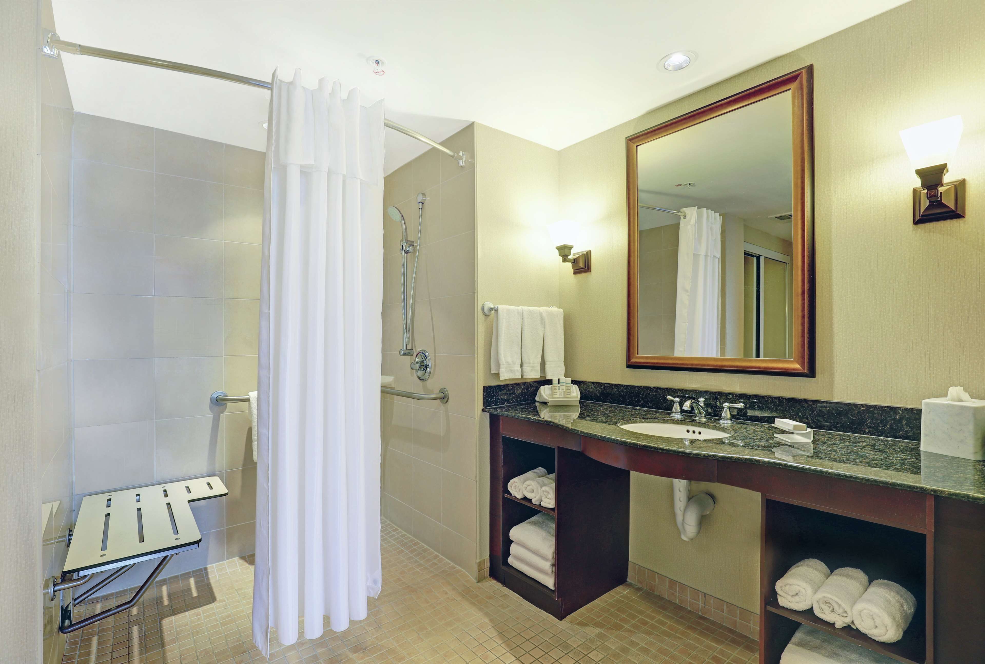 suite, 1 king bed, accessible, non smoking | bathroom shower