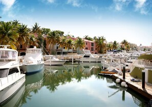 A marina with boats docked, palm trees, and buildings in the background.