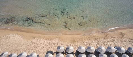 An aerial view of a beach with clear water, a sandy shore, and rows of sun umbrellas and lounge chairs.
