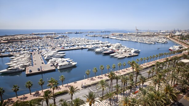 Un port de plaisance où sont amarrés de nombreux bateaux, une promenade piétonne bordée de palmiers et une vue dégagée sur la mer.