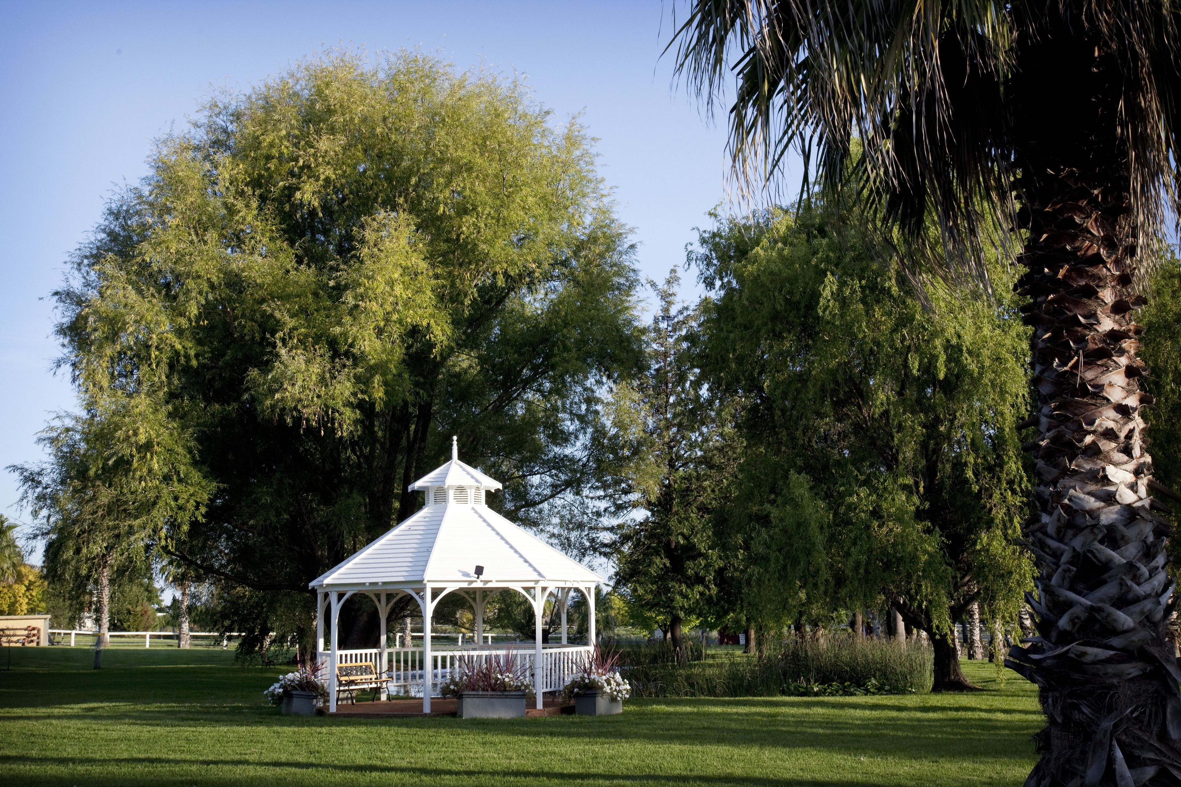 A gazebo with a white roof and open sides, surrounded by lush green grass and trees.