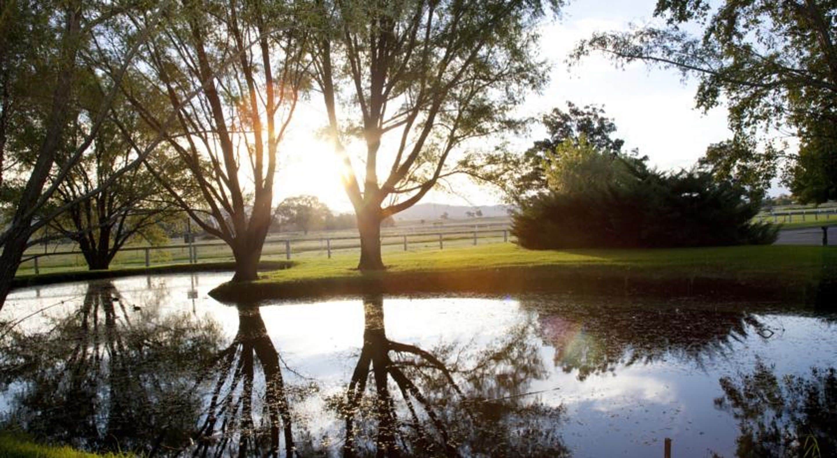 A serene park scene with trees and a pond reflecting sunlight.
