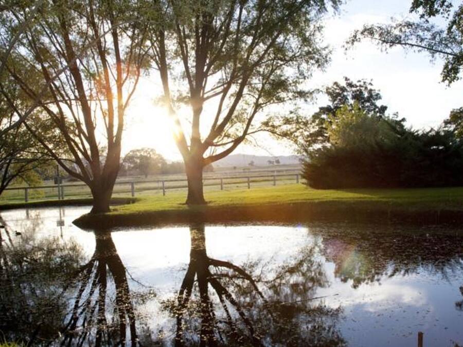 Escena serena de un parque con árboles y un estanque que refleja la luz del sol.