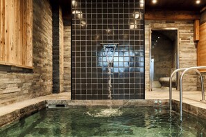 Un espace de bien-être comprenant une piscine à eau claire, un élément décoratif aquatique et un mur en bois.