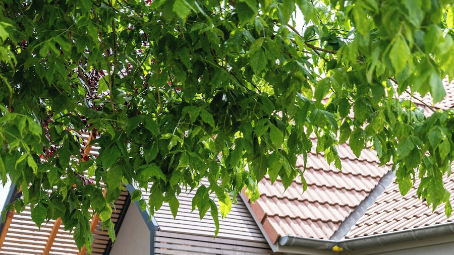 Premiere Classe Metz Sud - Jouy-Aux-Arches