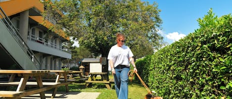 Extérieur