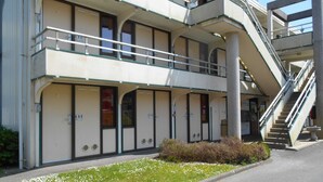 Un edificio de varios pisos con una escalera central, ventanas amplias y un pequeño jardín con flores blancas.
