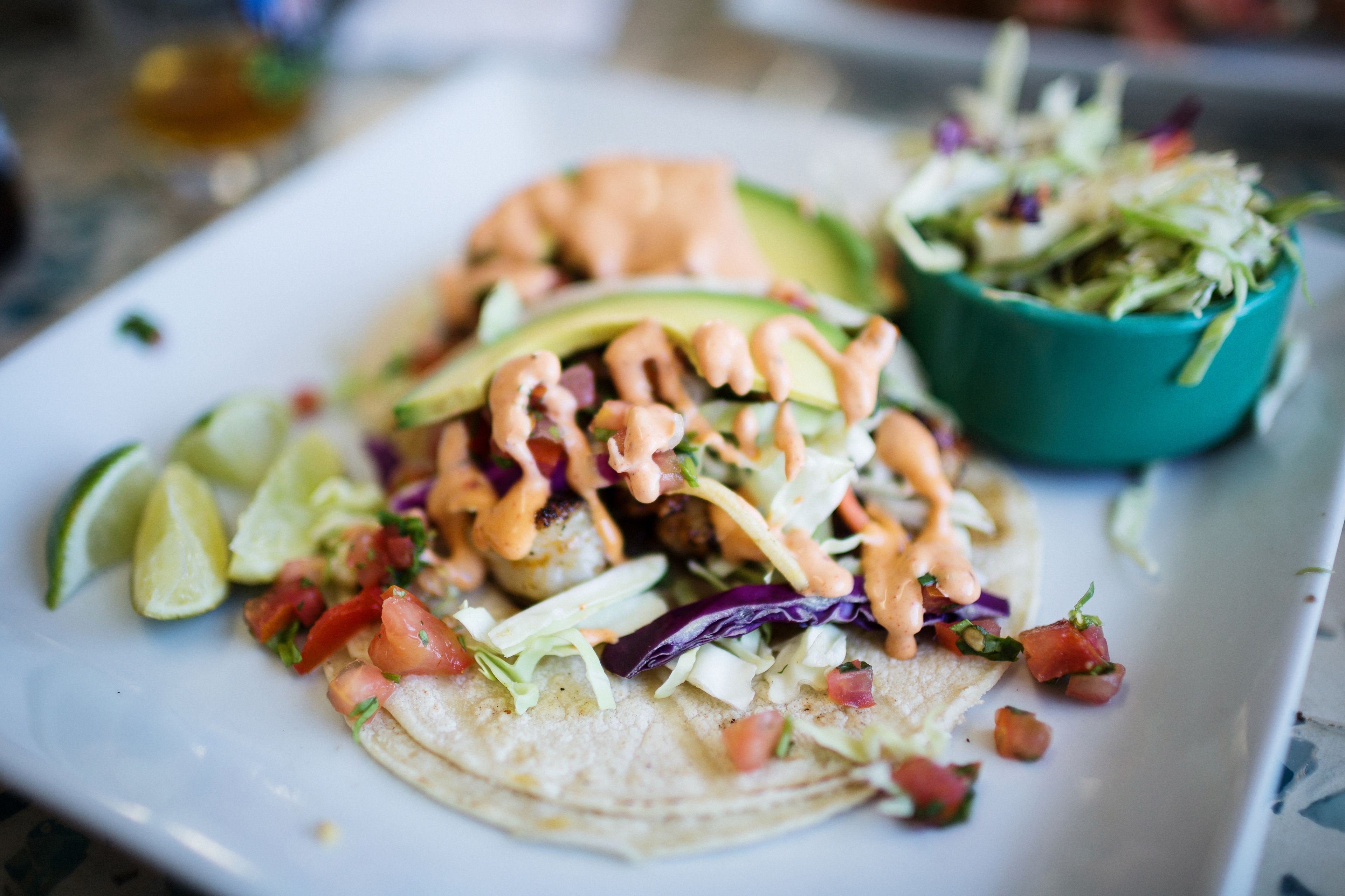 A plate with a taco, avocado, and a side salad.
