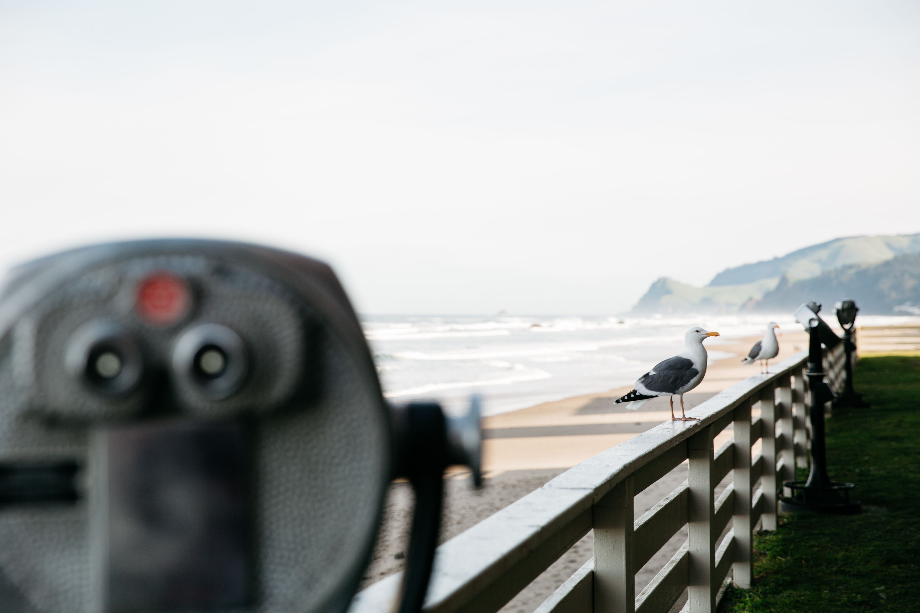 A seaside view with a railing, seagulls, and a blurred camera lens.