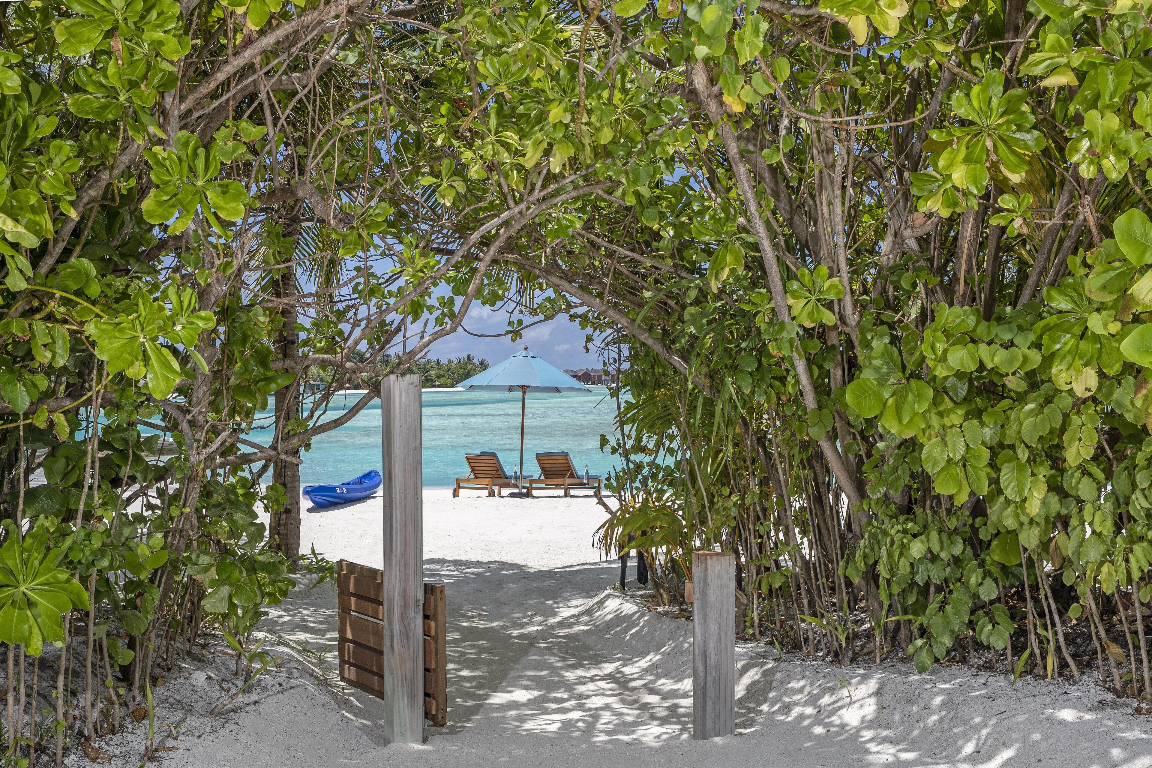 A beach pathway leading to a sandy beach with two lounge chairs and a blue umbrella.
