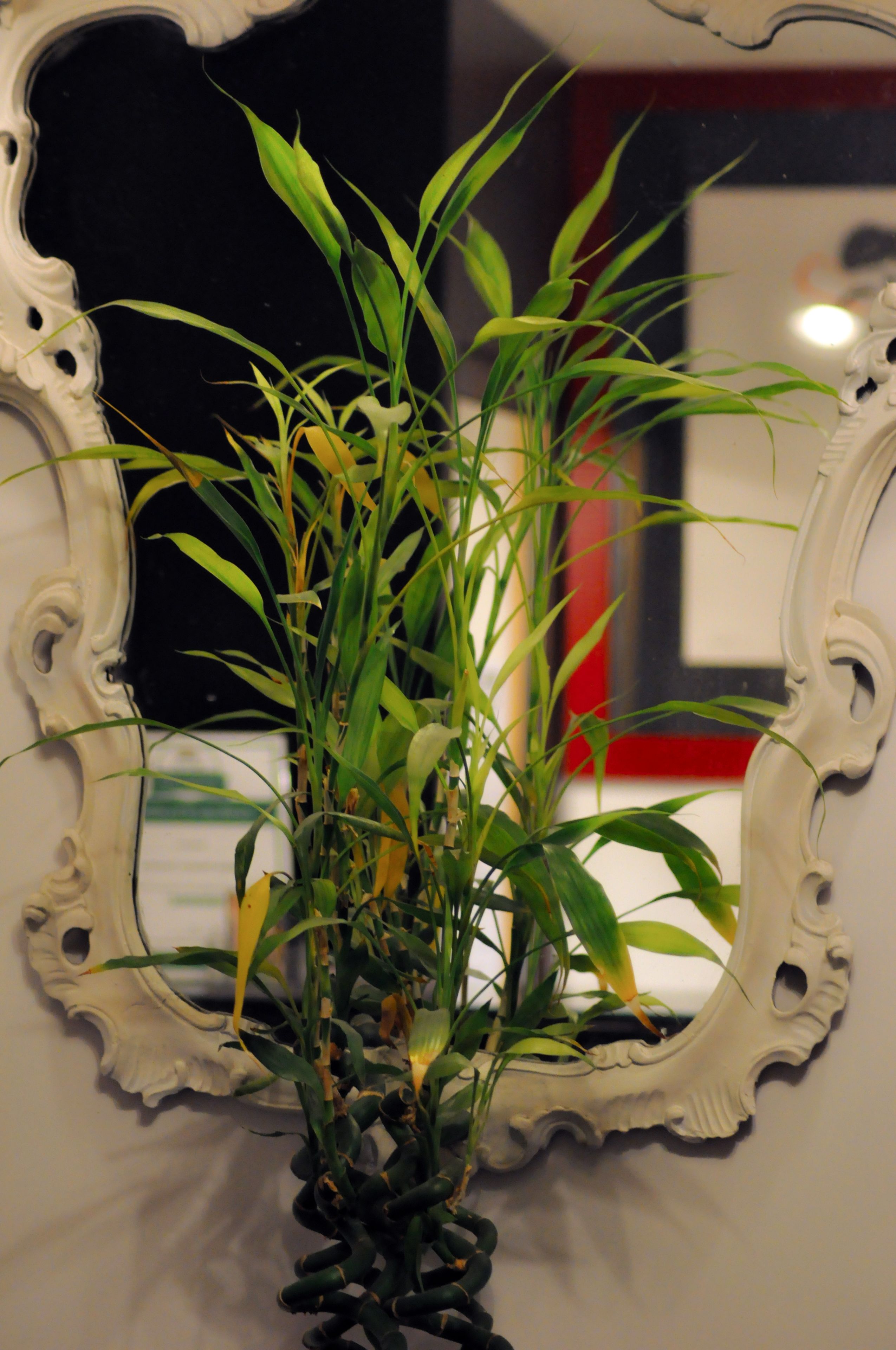 Photo - Relais Palazzo Taverna