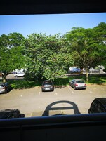 Vistas desde la habitación